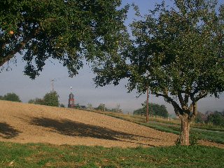 Streuobstwiese bei Steckenroth