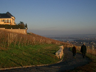 Schlo Johannisberg mit Rheinblick